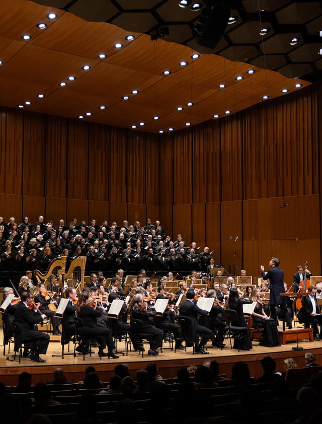 Houston Symphony orchestra performance with Janice H. Barrow, showcasing musical talent and acoustics.