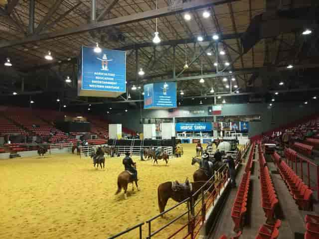 Houston Livestock Show and Rodeo - >David Longo</a>