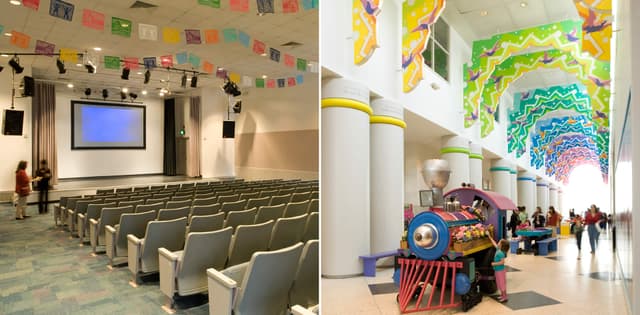 Brown Foundation Auditorium