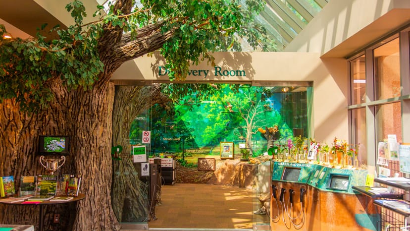 Vibrant Discovery Room at Houston Arboretum for creative workshops and team-building events.