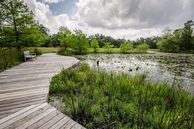 Serene Houston Arboretum classrooms with wooden walkway, ideal for retreats and team-building.