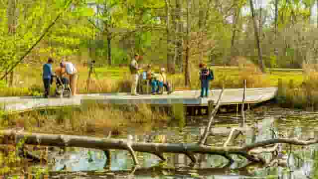 Nature Center grounds