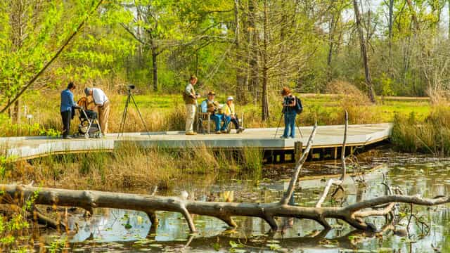 Professionals at Houston Arboretum for nature photography workshop by water.