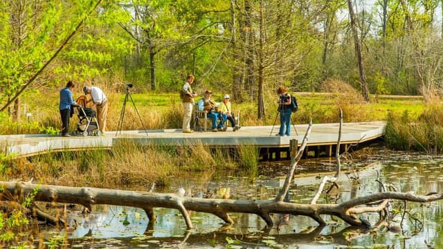 Nature Center grounds