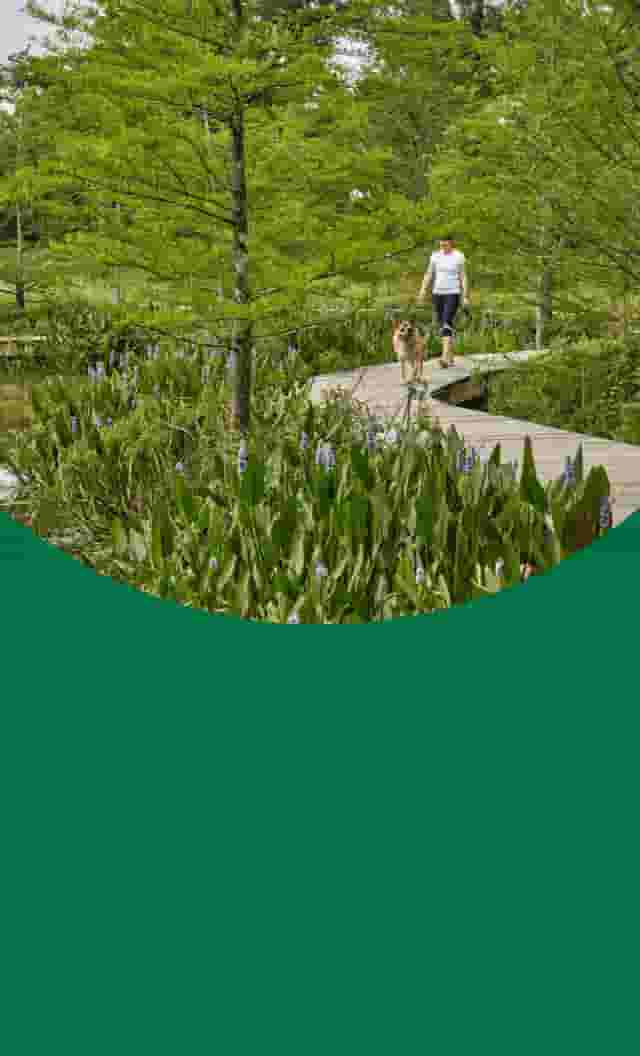 Nature Center grounds