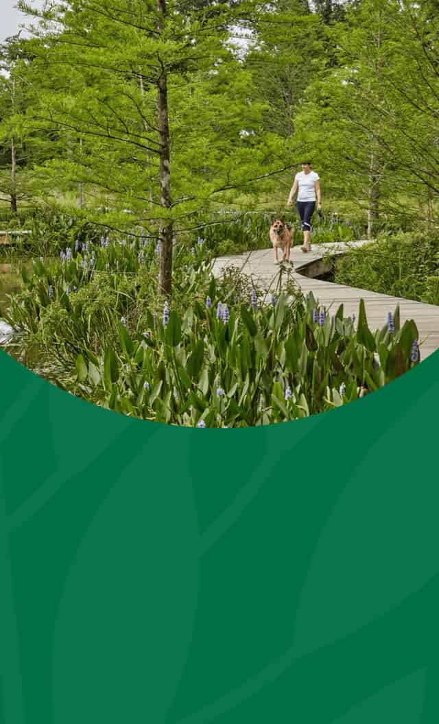 Nature Center grounds