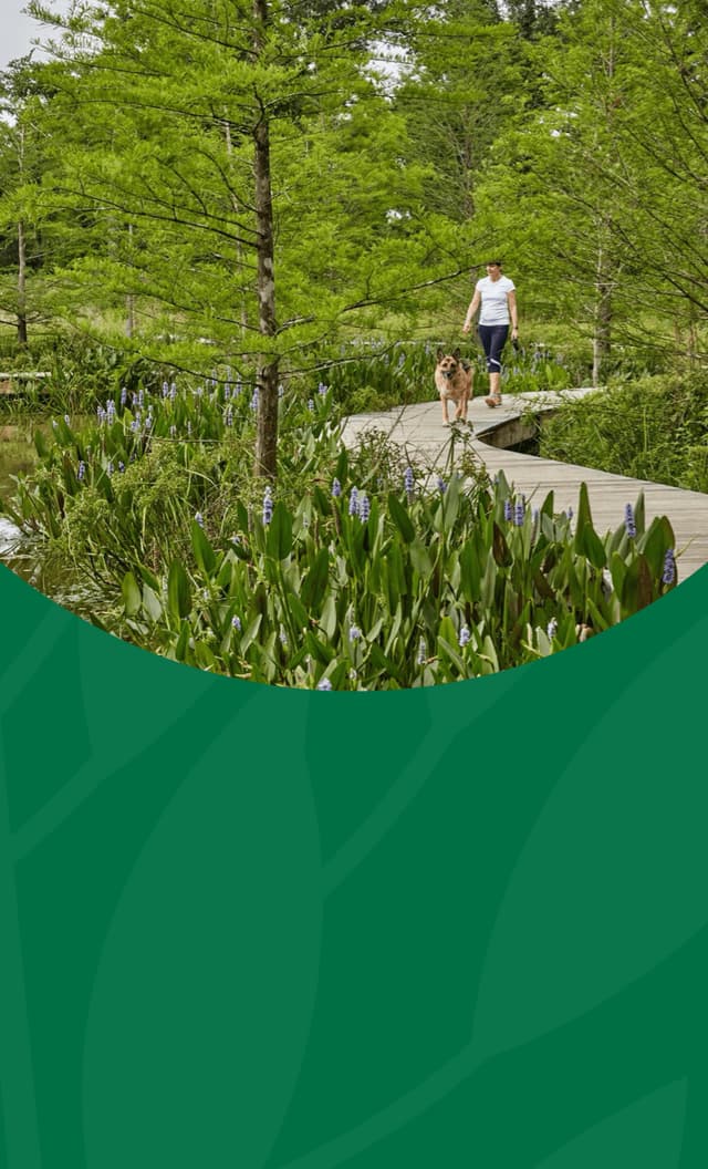 Nature Center grounds