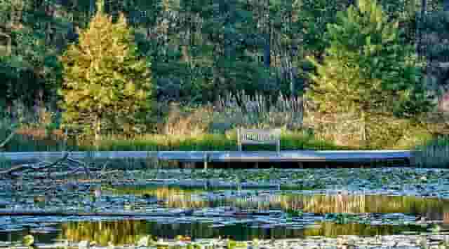 Nature Center grounds