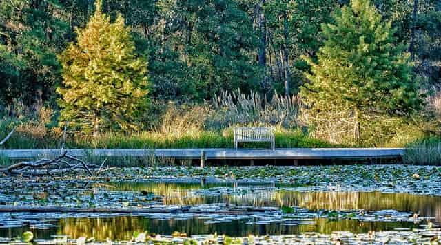 Nature Center grounds