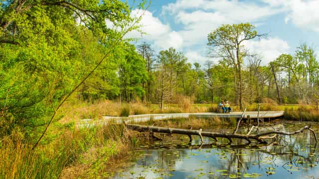 Serene Houston Arboretum venue with lush greenery for retreats and workshops.