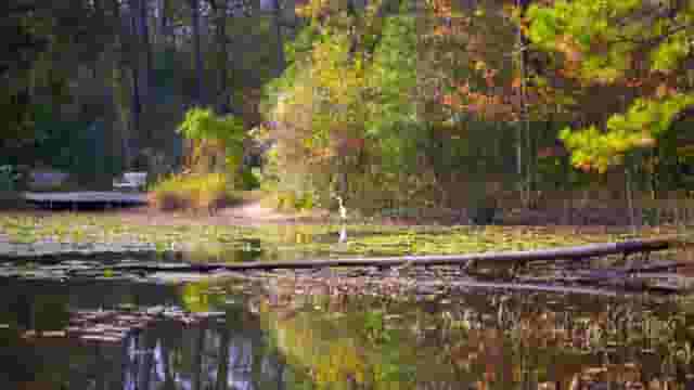 Nature Center grounds
