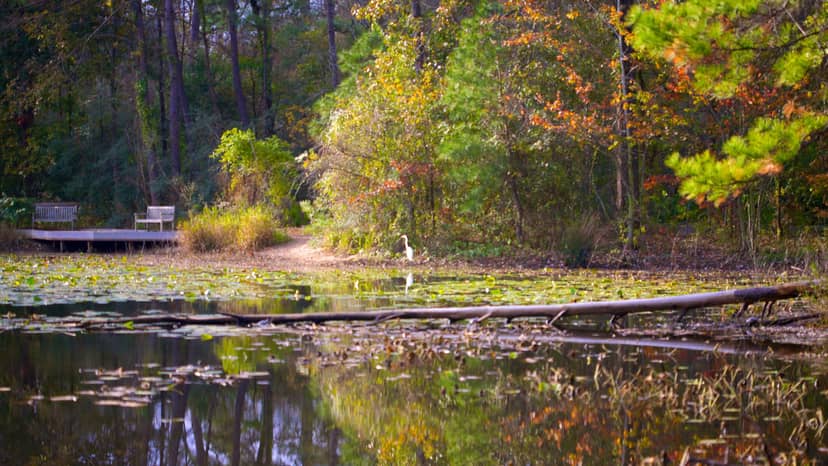 Lakeside retreat at Houston Arboretum, ideal for outdoor meetings and team-building.