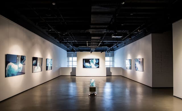 Gallery Naila