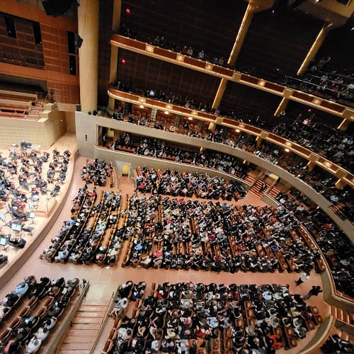 Packed auditorium at Anita Sampels Suite for a large-scale event at Dallas Symphony Orchestra.