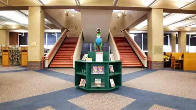 Dallas Public Library - >Edith Simmons</a>