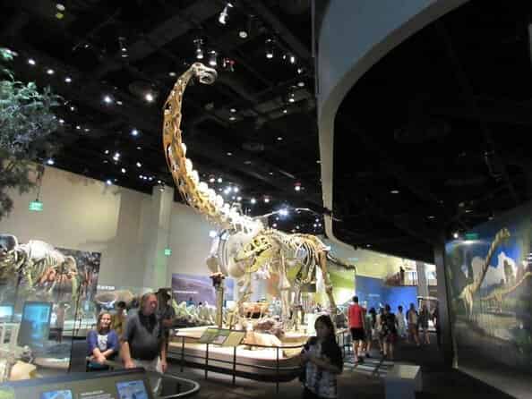 Entire Museum