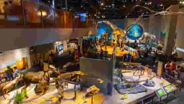 Museo completo