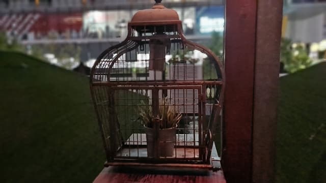 Feather Lounge