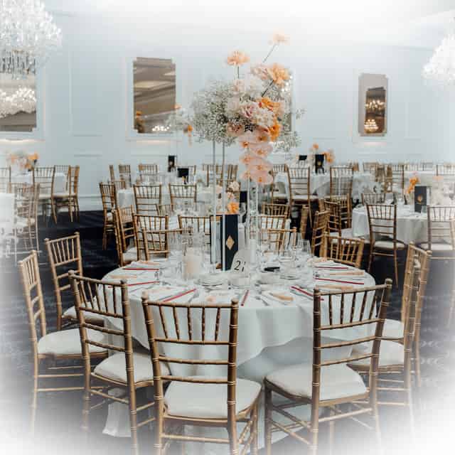 Delphinium Room