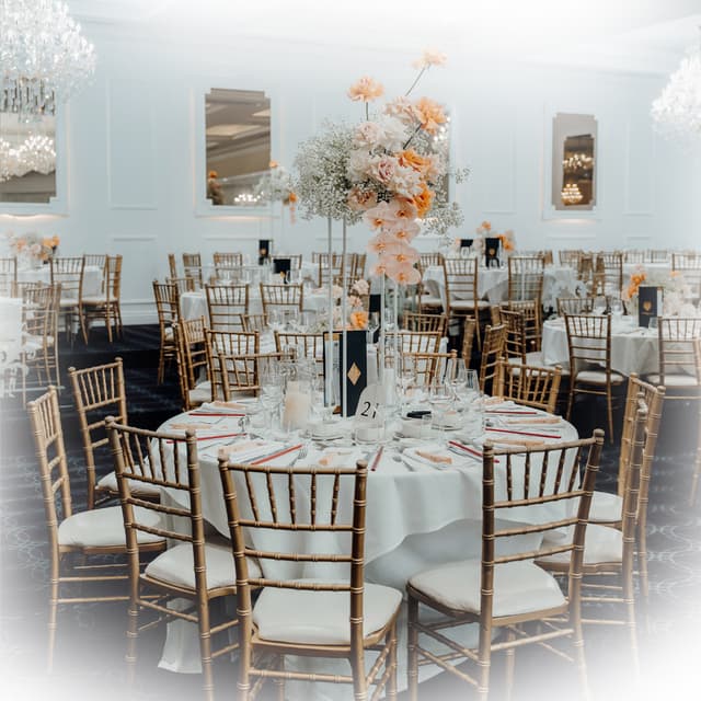 Delphinium Room