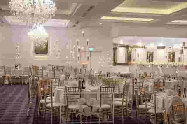 Delphinium Room