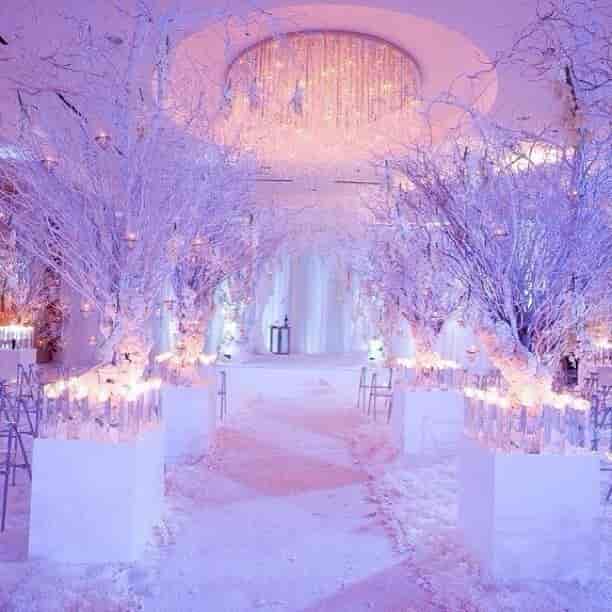 Stunning winter wedding at Sheldon Gardens with elegant white branches and glowing pathways.