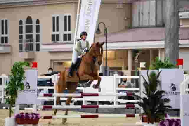 Luxury Stables