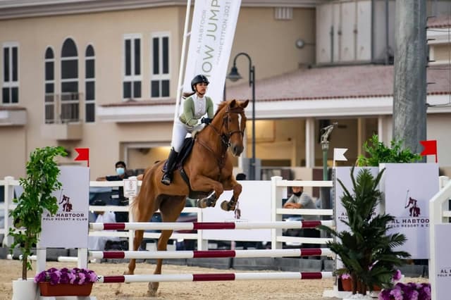 Luxury Stables