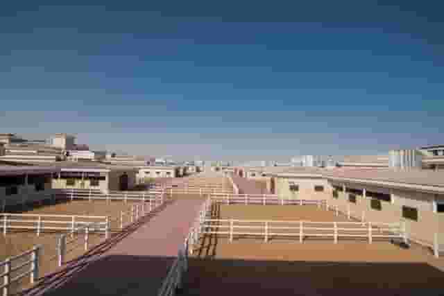 Luxury Stables