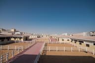 Gala Dinner Venues