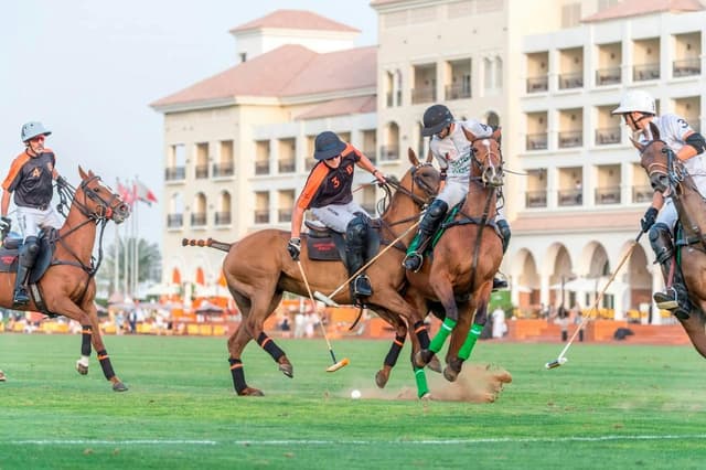 Al Habtoor Polo Club