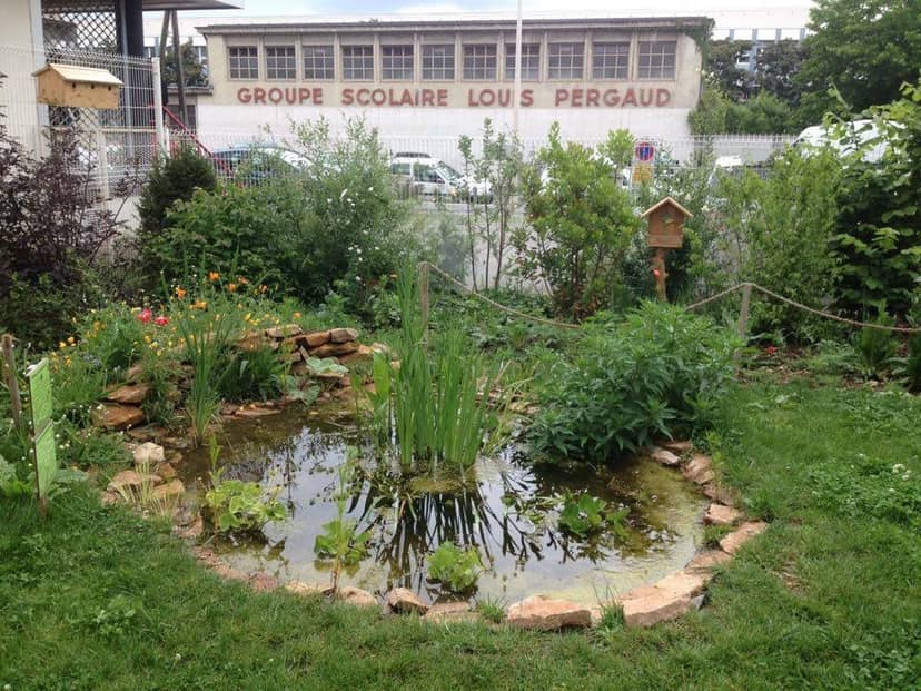 Serene garden pond in CISL, ideal for outdoor events and team-building workshops.