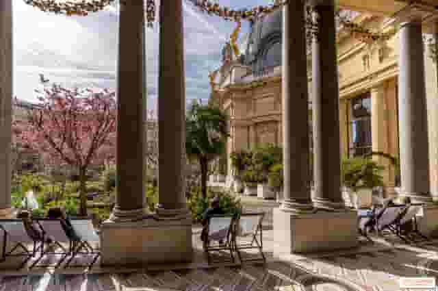 The Inner Garden