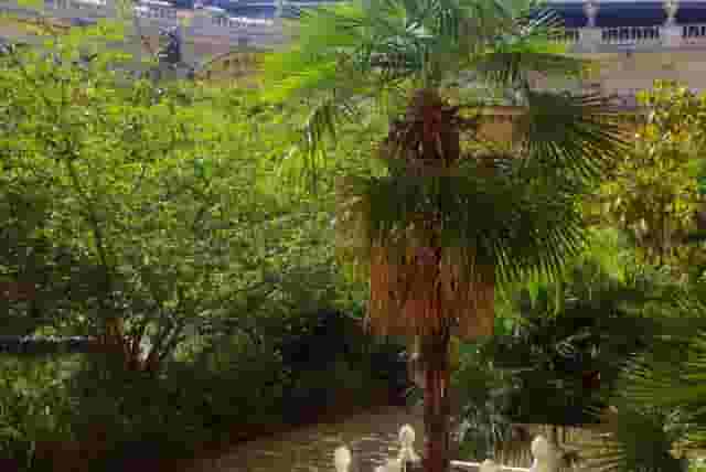 The Inner Garden