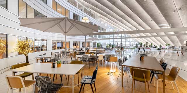 Modern open-plan event space with natural light, ideal for networking and casual gatherings.