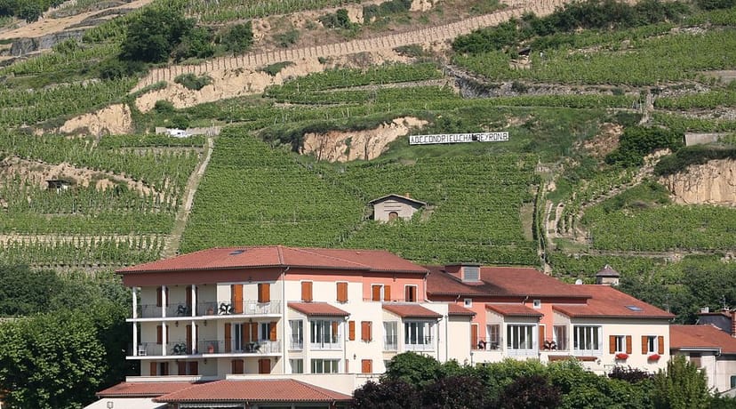 Terrace at Le Beau Rivage: scenic venue for outdoor meetings and wine tastings.