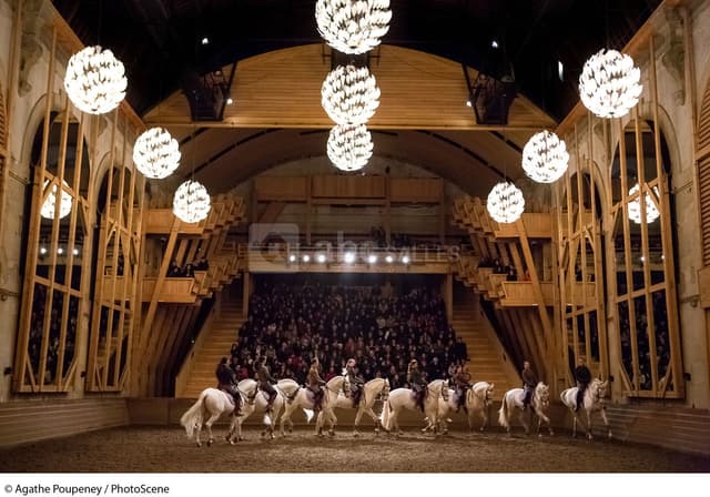 MANÈGE