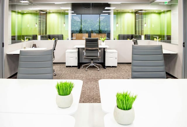 Modern meeting room with natural light and green plants for collaborative events.