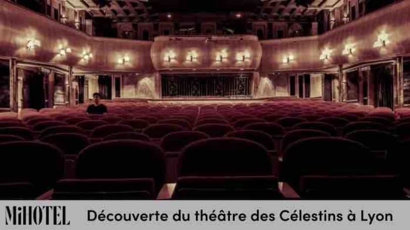 institution culturelle à Lyon ...