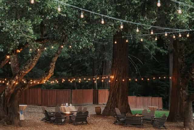 Redwood Deck