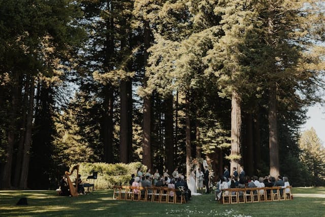 Outdoor wedding ceremony at The Mountain Terrace with elegant chairs among towering trees.