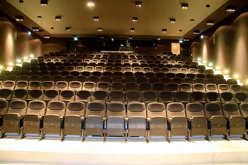 Grand Auditorium in Musée des Confluences: tiered seating venue for events and presentations.