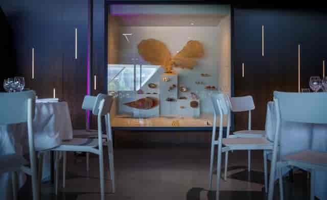 Contemporary event space at Musée des Confluences with artistic fish sculptures.