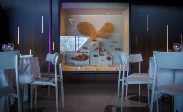 Contemporary event space at Musée des Confluences with artistic fish sculptures.