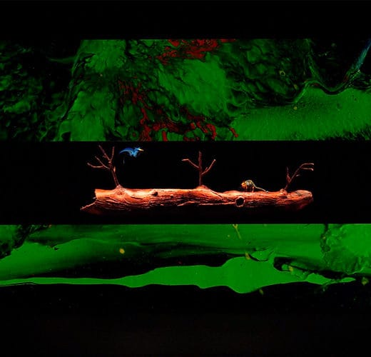 Le Roi des Sables backdrop, vibrant colors for themed events, innovative meetings.
