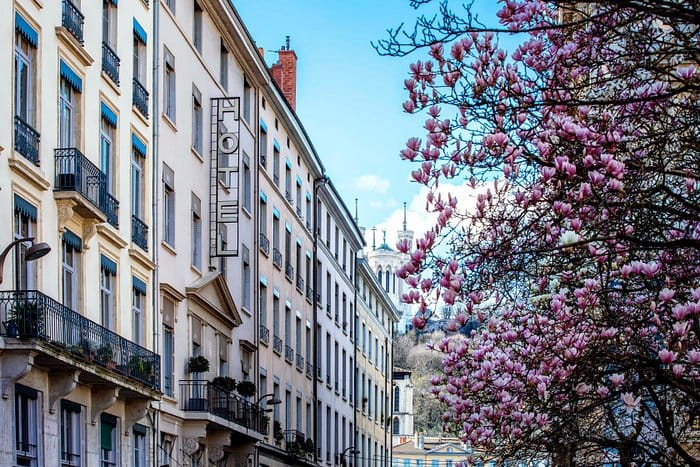 Hôtel des Artistes street view with blooming trees, ideal for events and gatherings.