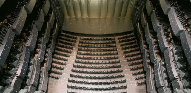 La Grande Salle at Opéra national de Lyon, a versatile auditorium for events and performances.
