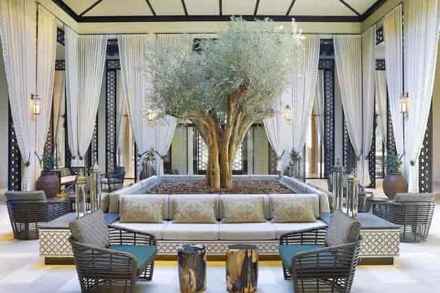 Al Wadi Meeting Room with olive tree, ideal for networking events and meetings.
