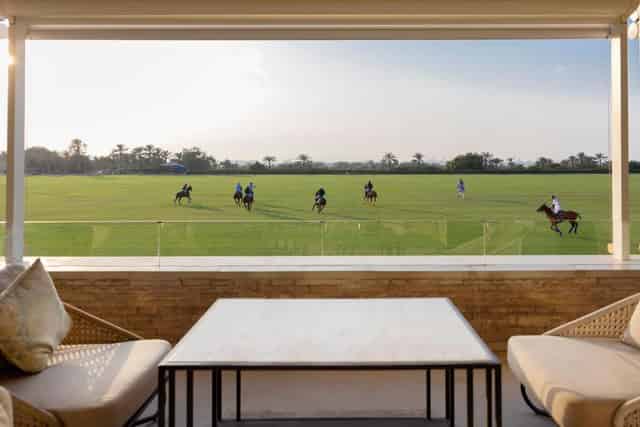 The Green Veranda