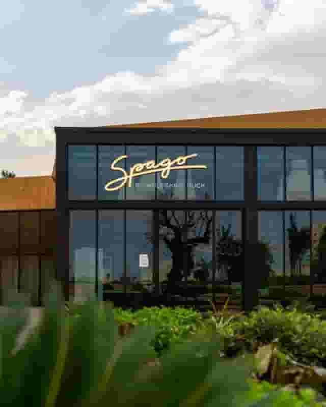 Spago